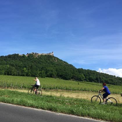 Der Balaton Radweg