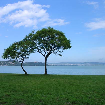 Strand in Zamárdi